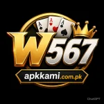 W567 Game