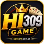 HI309 Game